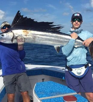 Big Atlantic Sailfish caught aboard the Too Lethal