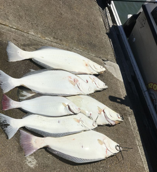 Enjoying a guided San Francisco Bay charter fishing experience.
