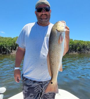 Crystal River Redfish