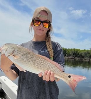 Clean Red FIsh! 