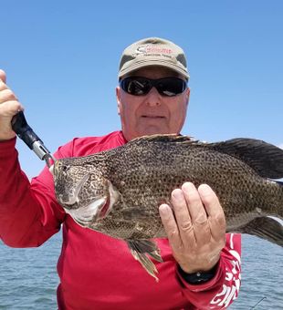 Bold bite!