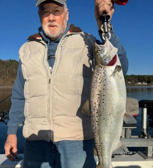 Beautiful Atlantic salmon from Burlington VT waters!