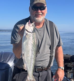 Beautiful Chinook salmon caught in Burlington VT waters!