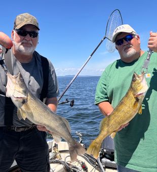 Double walleye success on Lake Champlain in Burlington!