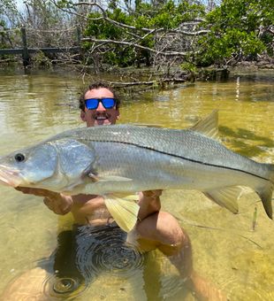 Largest Snook in SW Florida: Magnificent Catch