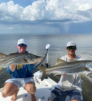 Stunning Snook: SW FL's Beauty