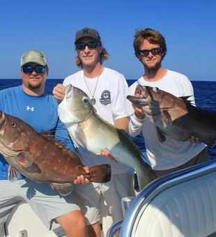 Epic Grouper haul!