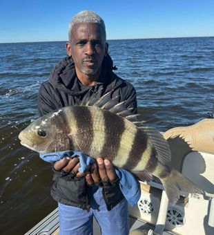 Sheepshead Fishing Thrills in Hopedale, LA