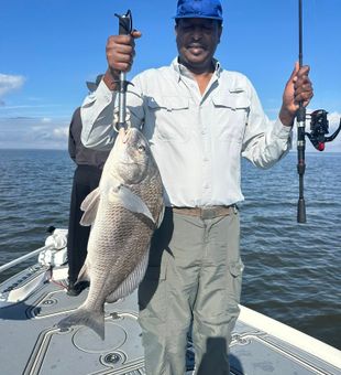 Black Drum haul in Hopedale, LA.