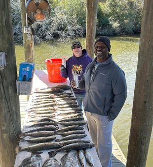 Productive day! - St Bernard, LA.