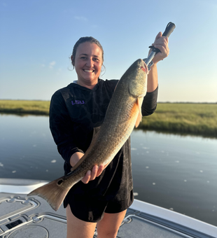 Nice redfish using light tackle in Hopedale!