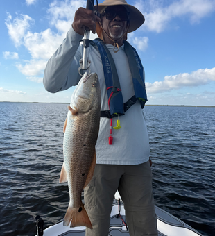 Beautiful Louisiana redfish caught in St. Bernard waters!