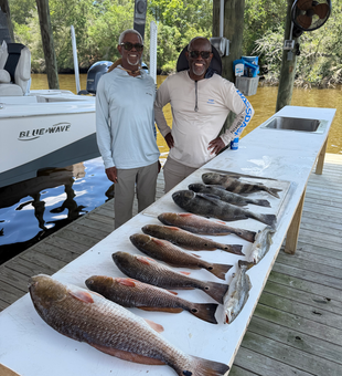 Three Louisiana redfish ready for the table!