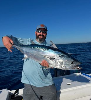 Albacore run off Jupiter’s coast