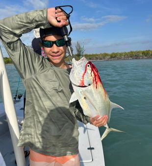 Key Largo Catch of the Day