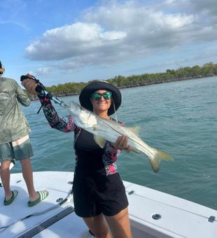 Reel Snook in Key Largo