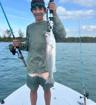 Big trout, Clear Skies