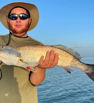 Trout Fishing