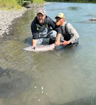 Big Kenai salmon brought to shore for the photo!