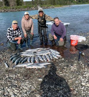 Kenai sockeye salmon limit achieved!