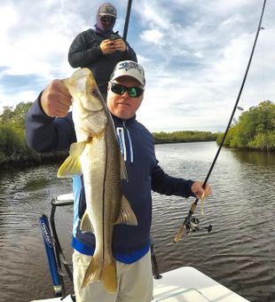 Solid snook catch on calm Florida backwaters.