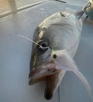 South Jersey Inshore Guide Service