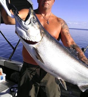 Impressive Lake Ontario Chinook salmon — a powerhouse catch on calm waters!