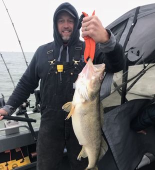 Cold morning success on Lake Erie — another solid walleye in the net!