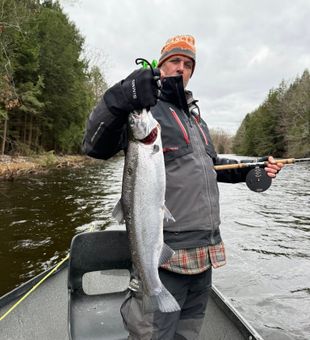 Big King Salmon On The Salmon River