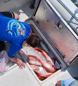 Fresh red snapper hauled in from Fort Walton Beach waters!