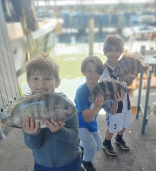 Kiddies and Sheepshead Delight TX