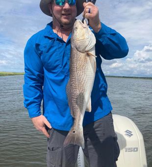 Look how awesome this Redfish in Charleston is!