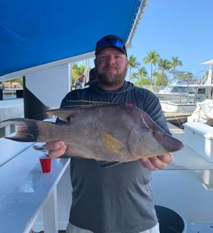 Hogfish Bounty  In Florida Waters