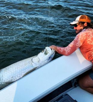 Tarpon fishing guided trips in Charleston