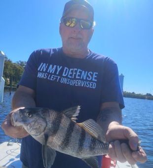 Fish on in the Pine Tree State.