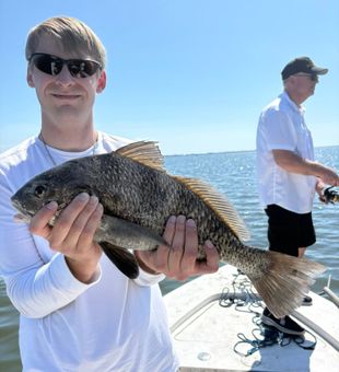Solid Black Drum Catch