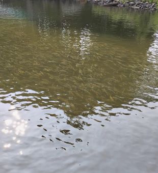 Maine saltwater fishing at its finest