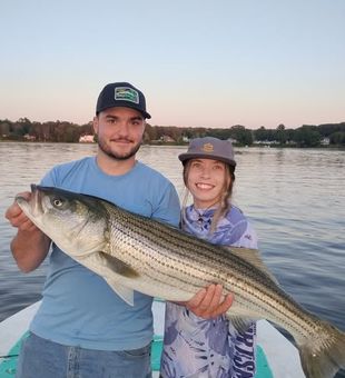 Reeling in big bass off Maine shores