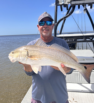 Nice redfish using trolling and drift fishing techniques today!
