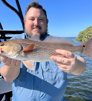 Nice redfish using trolling techniques in clear conditions today!