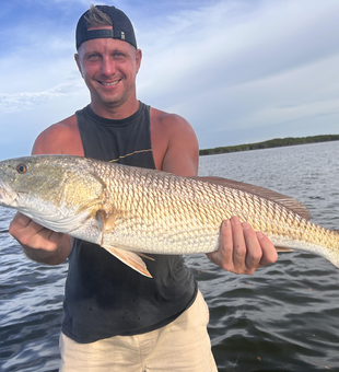 Huge redfish hooked while trolling in crystal-clear waters!