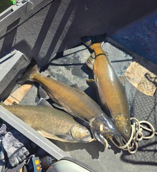 A productive day out on the water.