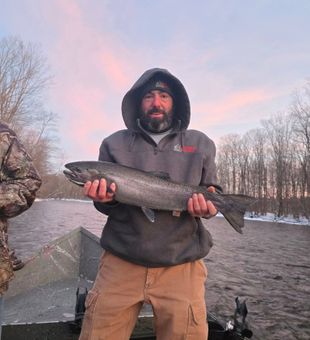 Steelhead season in full swing