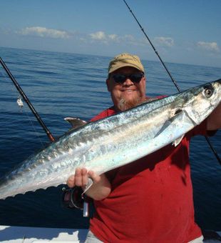 King Mackerel Fish reeled from Florida
