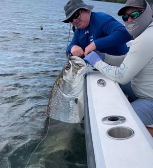 Tarpons Inshore Fishing Florida 2022
