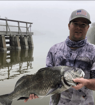 Black Drum Fishing in Florida