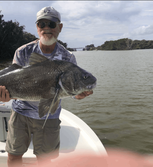 Inshore fishing, Black Drum Caught in Florida