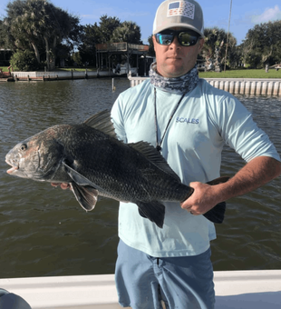 Premier Fishing trip! Black Drum,  Mosquito Lagoon