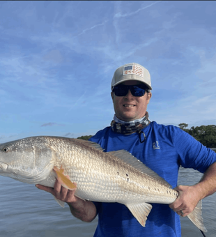 Mosquito Lagoon Red Drum