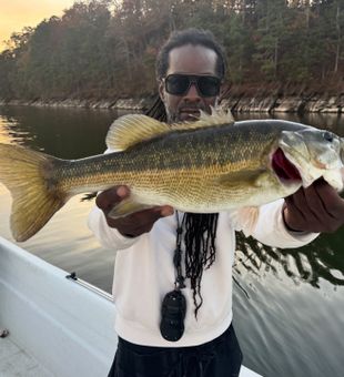 Solid Spotted Bass with FishProCo!